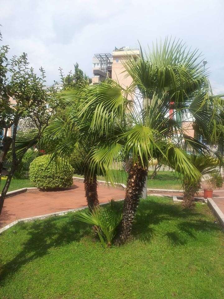 Hotel De La Ville Central Latina Kemudahan gambar